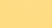 204