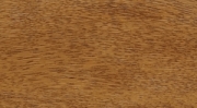 48 Gold oak